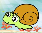 Caracol bebé