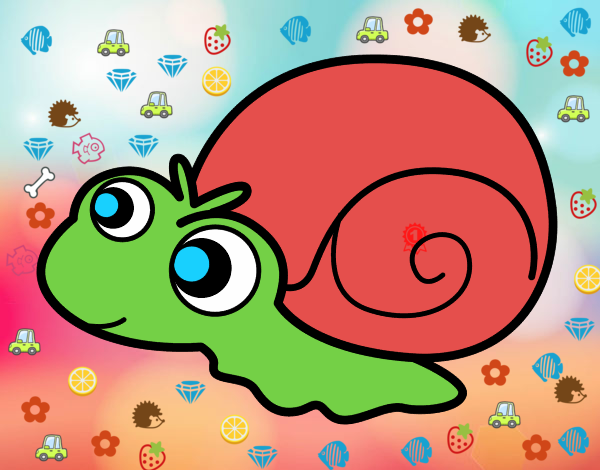 baby  caracol