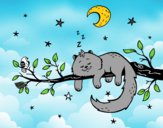 El gato y la luna