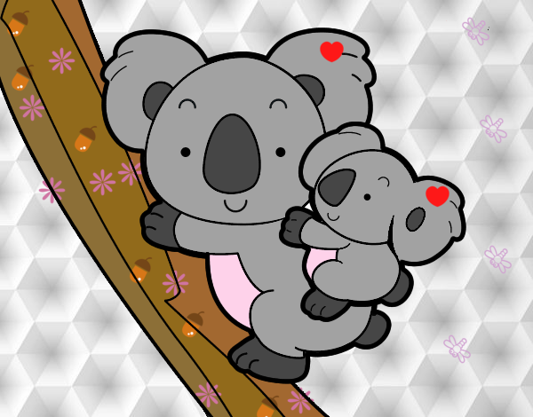 Los koalas femilce¡¡¡¡¡