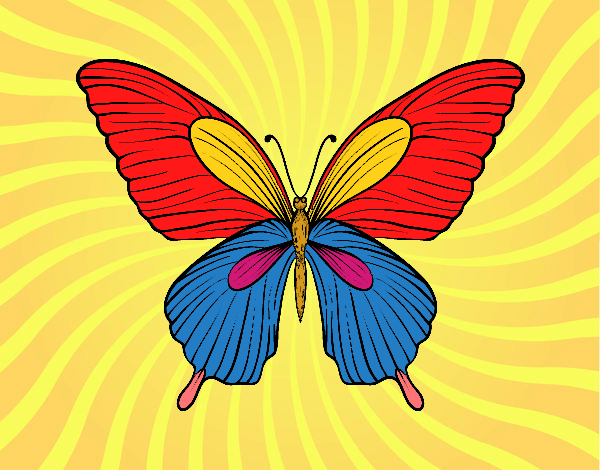 Dibujo Mariposa tropical pintado por Mariadelca