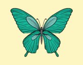 Dibujo Mariposa tropical pintado por queyla