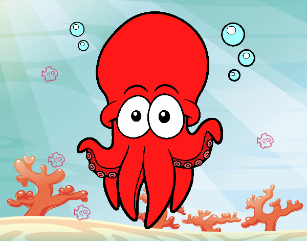 Pulpo rojo