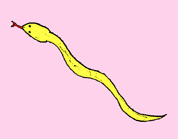 Serpiente venenosa