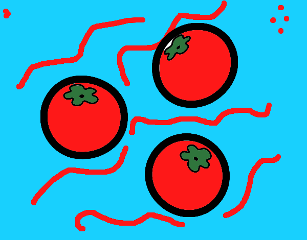 Tomates cherry