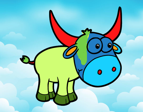 Torito