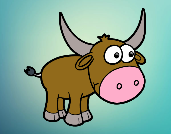 Torito