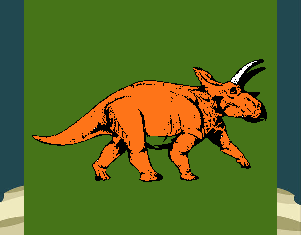 Triceratops 1