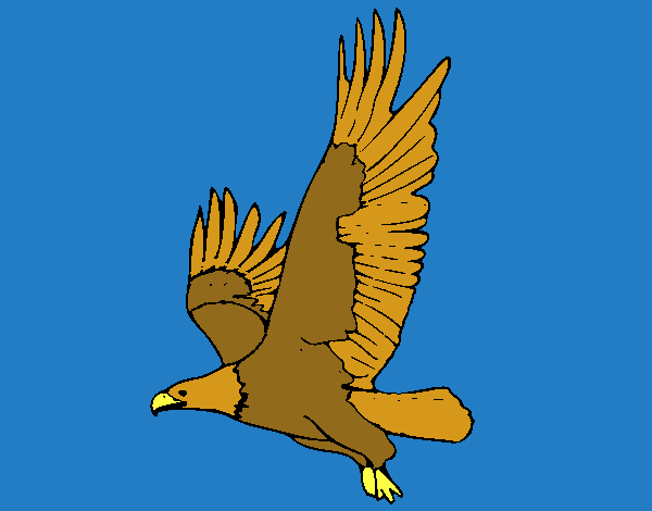 Águila volando