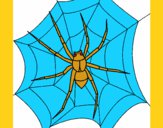 Araña