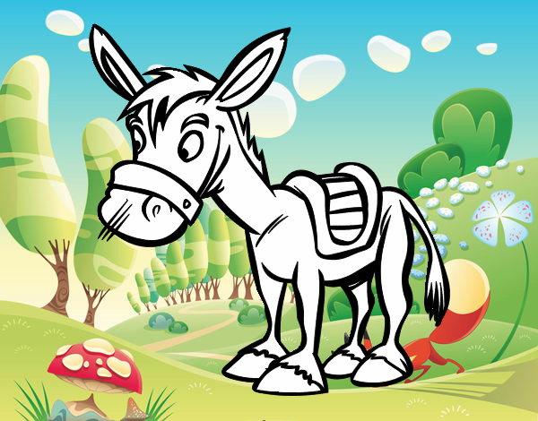 Burro de granja