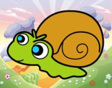 Caracol bebé