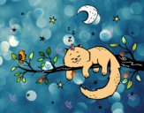 El gato y la luna