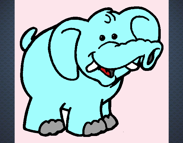 Elefante 6