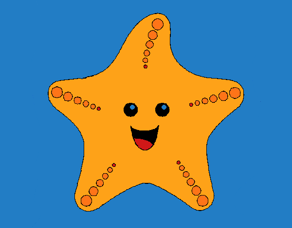 Estrella de mar 1