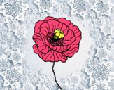 Dibujo Flor de amapola pintado por grage 