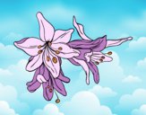 Dibujo Flores de lilium pintado por queyla