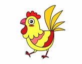 Gallina de granja