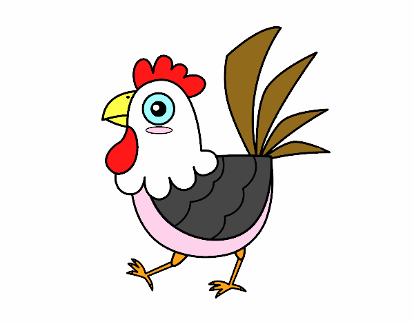 Gallina de granja