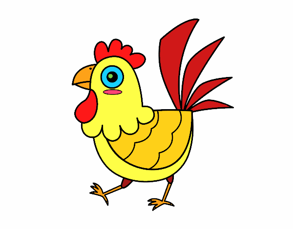 Gallina de granja