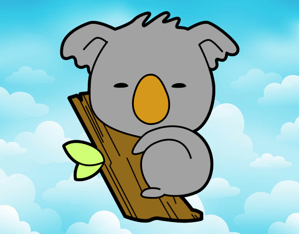 Koala bebé