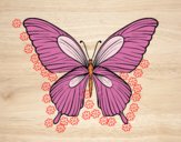 Dibujo Mariposa tropical pintado por Alin123