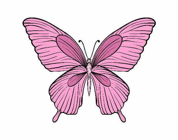 la mariposa rosada