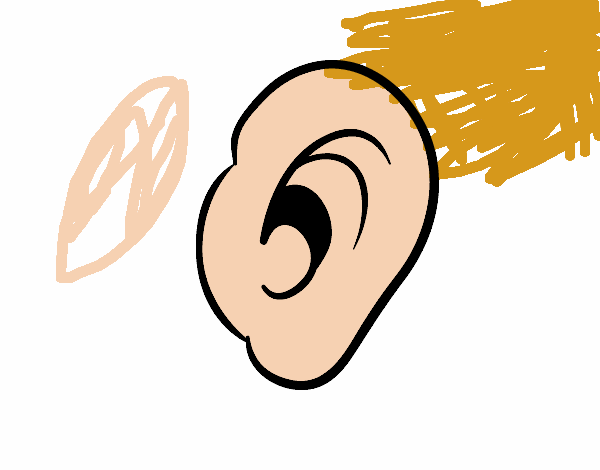 Oreja humana