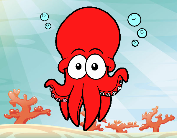 Pulpo rojo