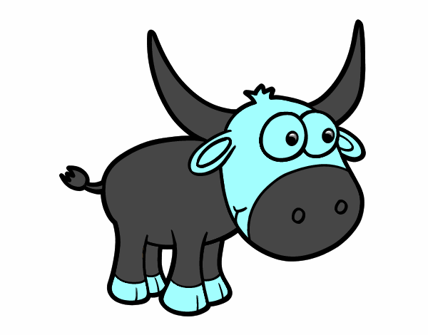 Torito