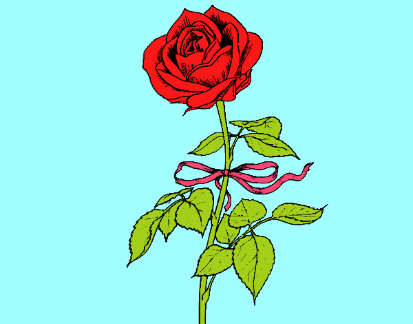 Dibujo de la rosa roja pintado por en  el día 07-05-15 a las  23:03:01. Imprime, pinta o colorea tus propios dibujos!