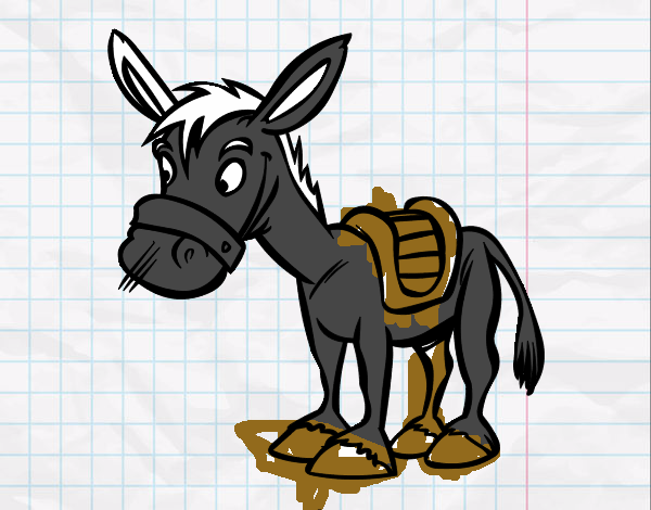 Burro de granja