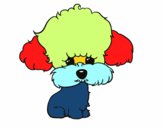 Cachorro de poodle