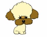 Cachorro de poodle