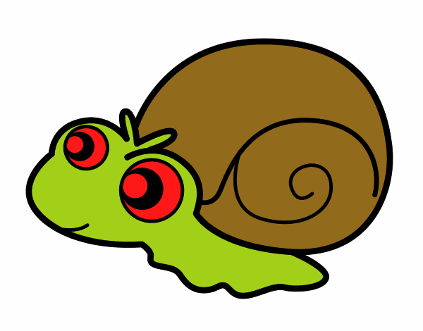 Caracol bebé