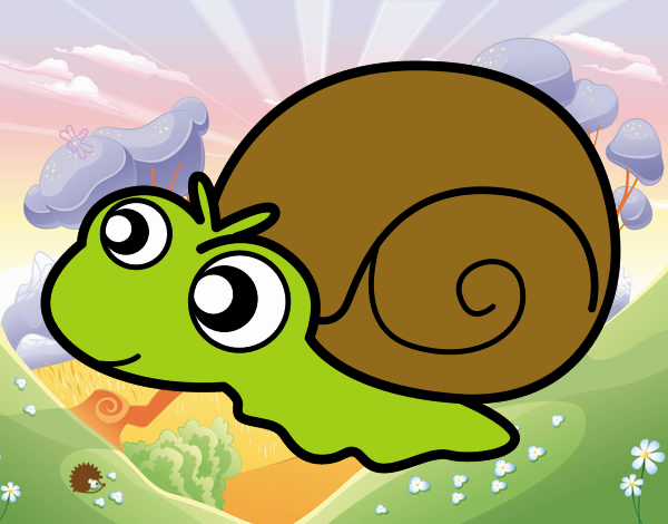 Caracol bebé