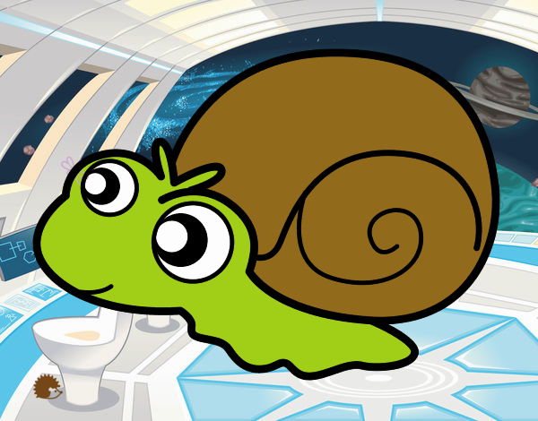 Caracol bebé