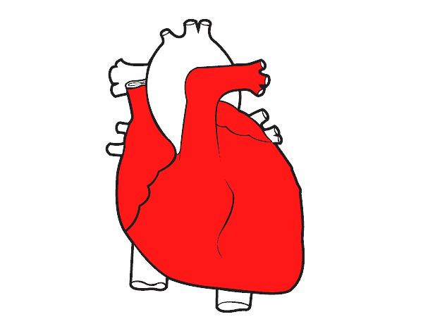 Dibujo de el corazon pintado por Tilditus en  el día 12-05-15 a  las 20:39:03. Imprime, pinta o colorea tus propios dibujos!