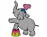 Elefante