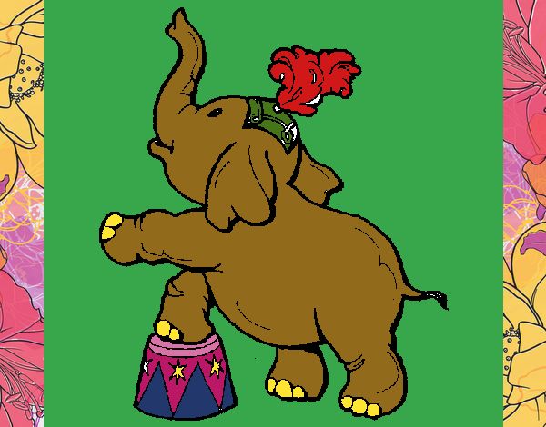 Elefante