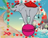 Elefante equilibrista