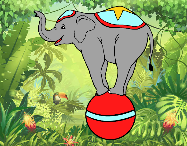 Elefante equilibrista