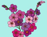 Dibujo Flor de cerezo pintado por queyla