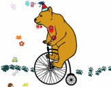 Oso en bicicleta