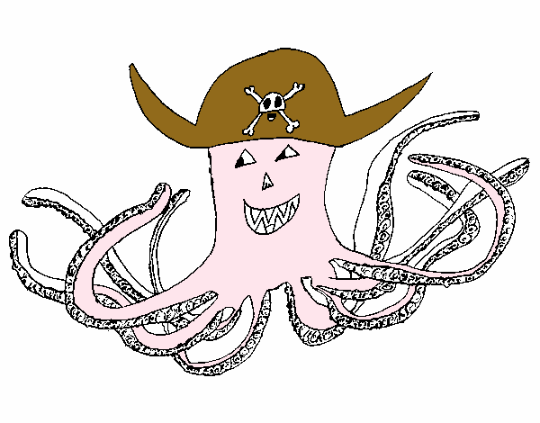 Pulpo pirata