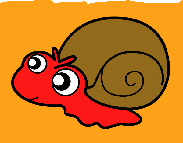 Caracol bebé