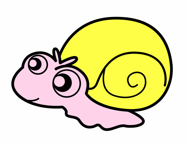 Caracol bebé