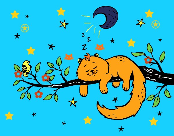 El gato y la luna