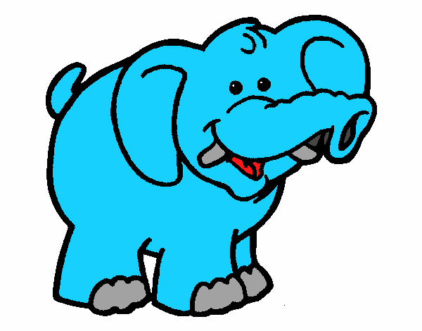 Elefante 6