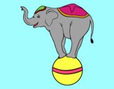 Elefante equilibrista